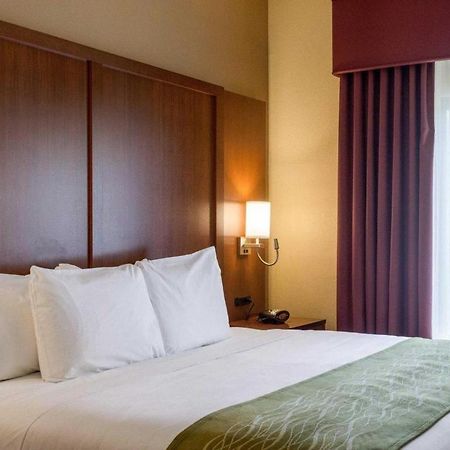 Comfort Suites Starkville Bagian luar foto