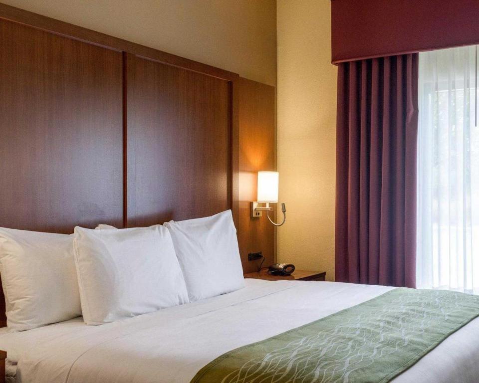 Comfort Suites Starkville Bagian luar foto