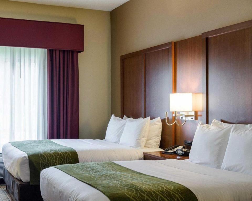 Comfort Suites Starkville Bagian luar foto