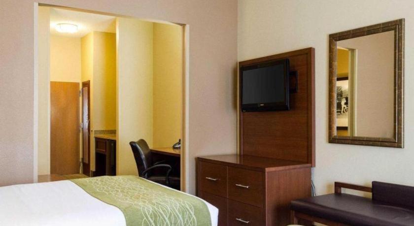Comfort Suites Starkville Bagian luar foto