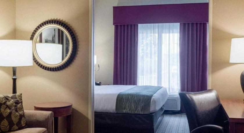 Comfort Suites Starkville Bagian luar foto