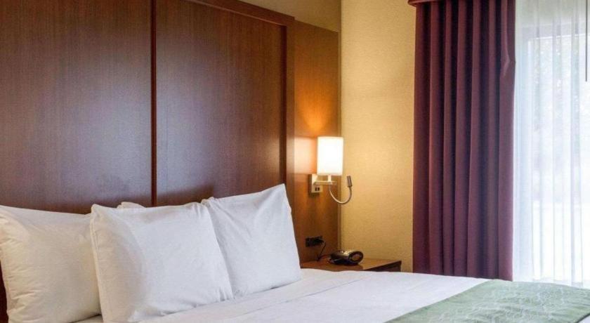 Comfort Suites Starkville Bagian luar foto