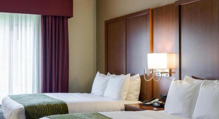 Comfort Suites Starkville Bagian luar foto